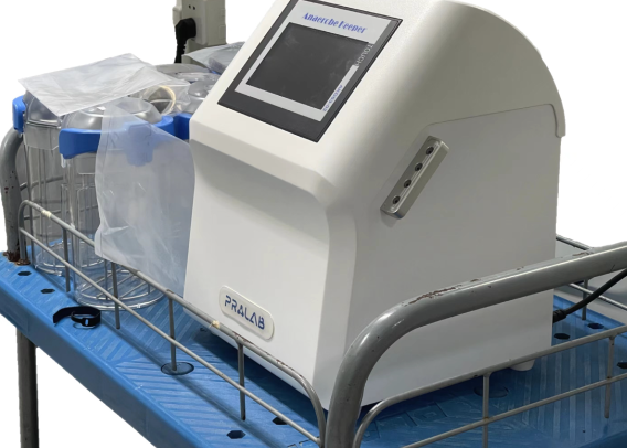 鍘屾哀鍩瑰吇緋葷粺錛屾庝箞鎴愪負鍘屾哀宸ヤ綔绔欑殑闄嶆湰鐜嬬墝